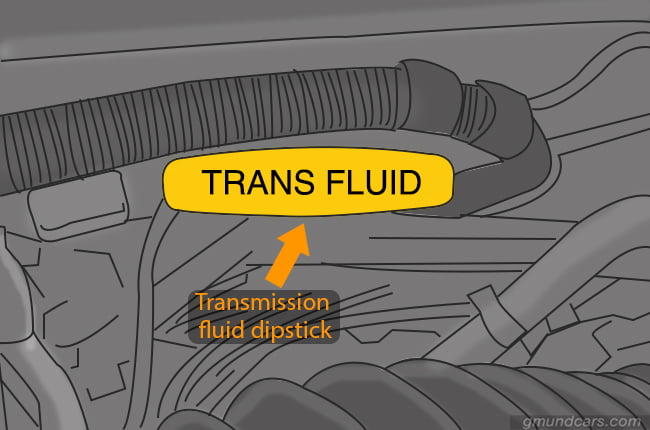 Locate the transmission fluid dipstick