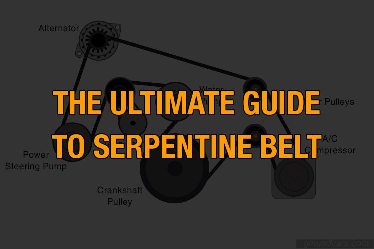 serpentine-belt