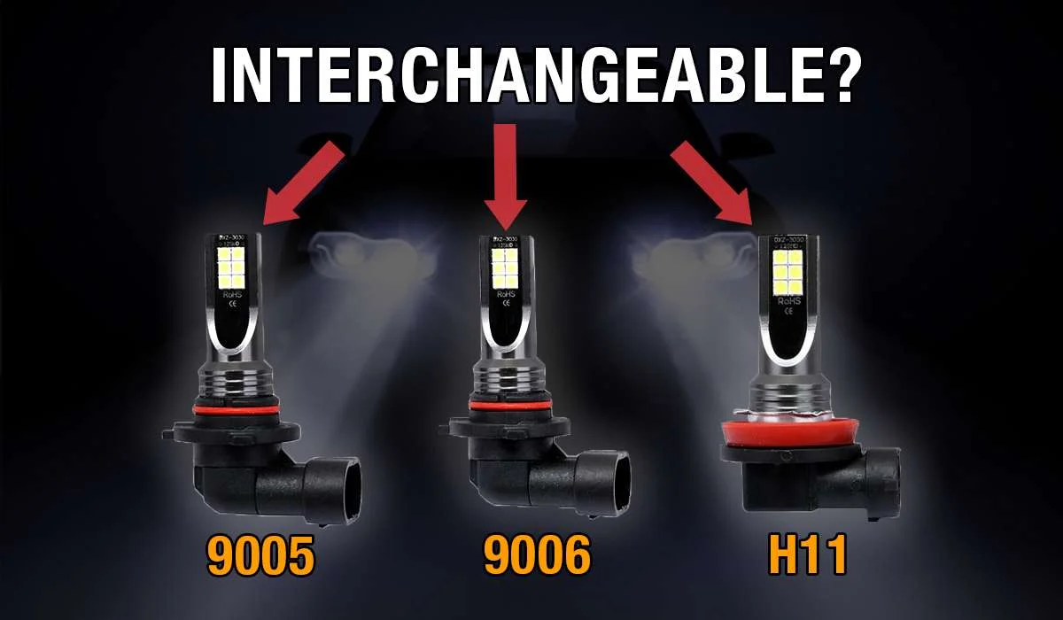 9005 vs 9006 vs h11