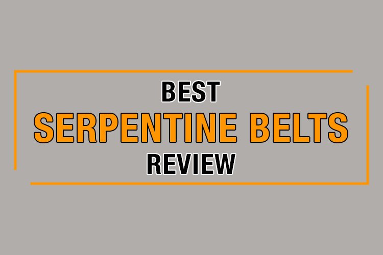 best serpentine belt