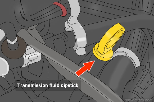 locate transmission fluid dipstick