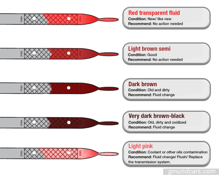 How often to change transmission fluid Gmund Cars