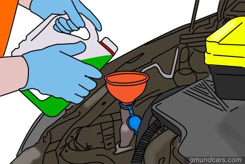 Add coolant to the radiator