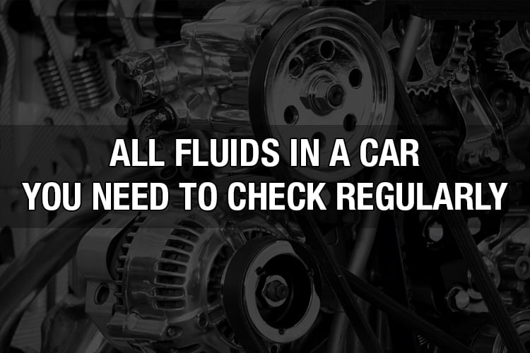 all fuilds in a car you need to check regularly