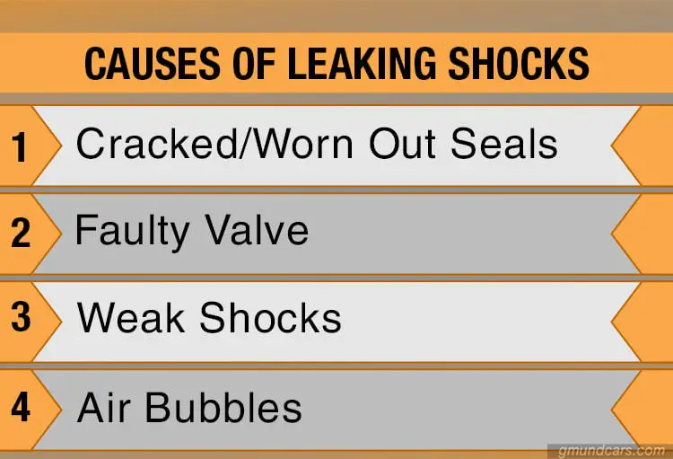 Common Causes of Leaking Shocks