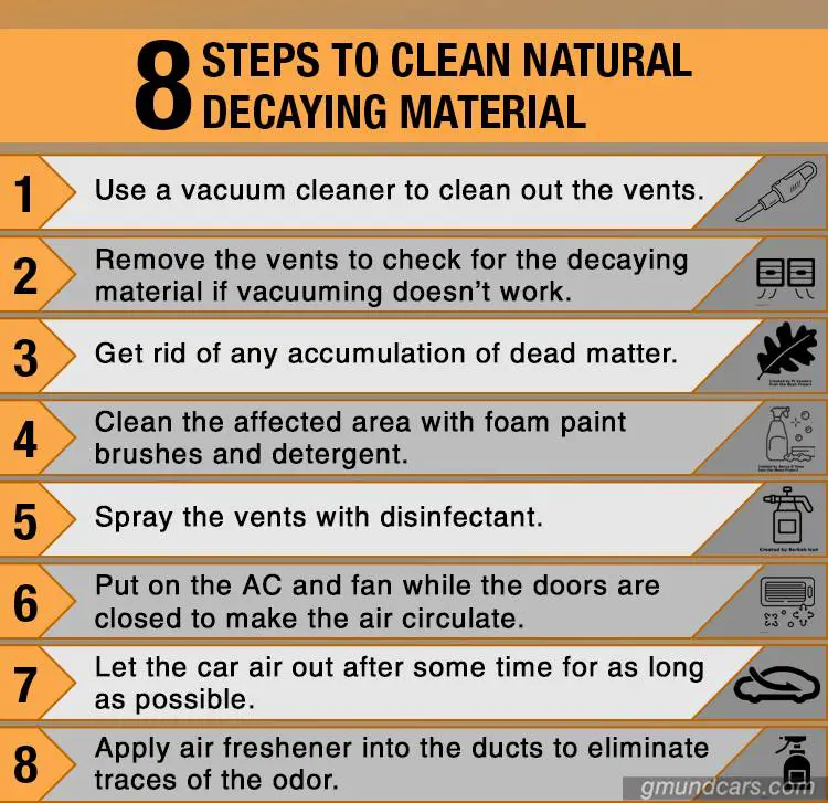 Steps to clean natural decaying material