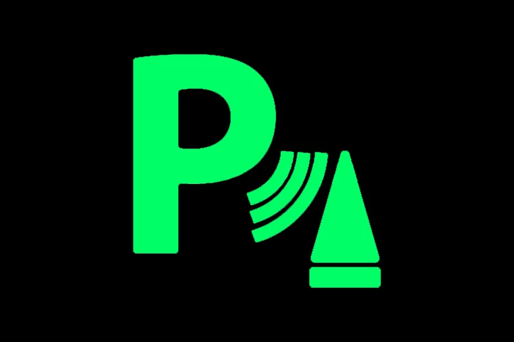 Park assist system indicator