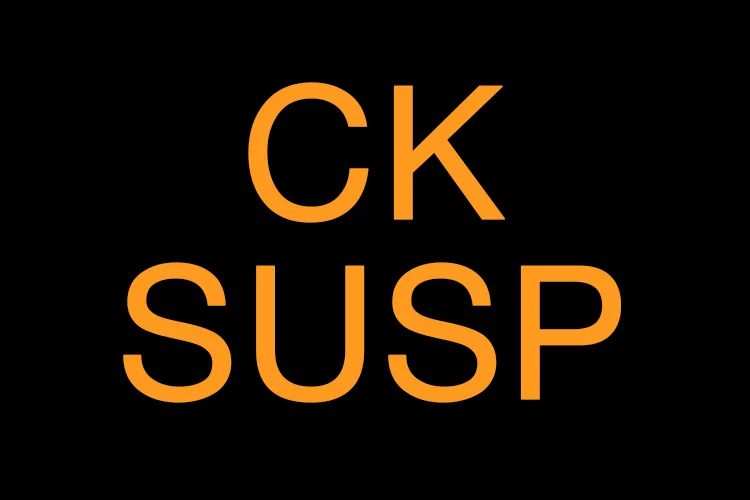 Check suspension indicator